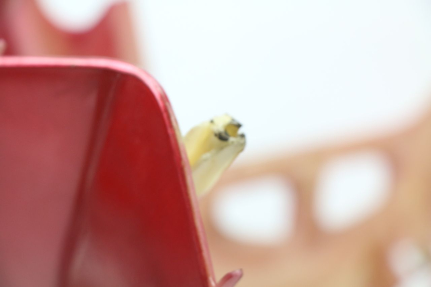 photo de FACCIATA ANTERIORE LINHAI MONARCH 125 (2003 - 2005)
