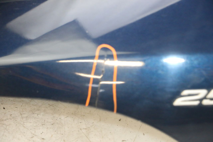 photo de SCUDO CARENA ANTERIORE PIAGGIO MP3 RL 250 (2007 - 2010) - Panoramica del profilo