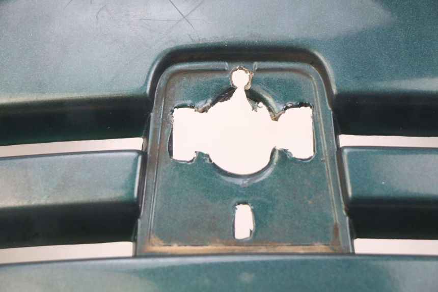 photo de FACCIATA ANTERIORE PEUGEOT SV 125 (1991 - 1994)