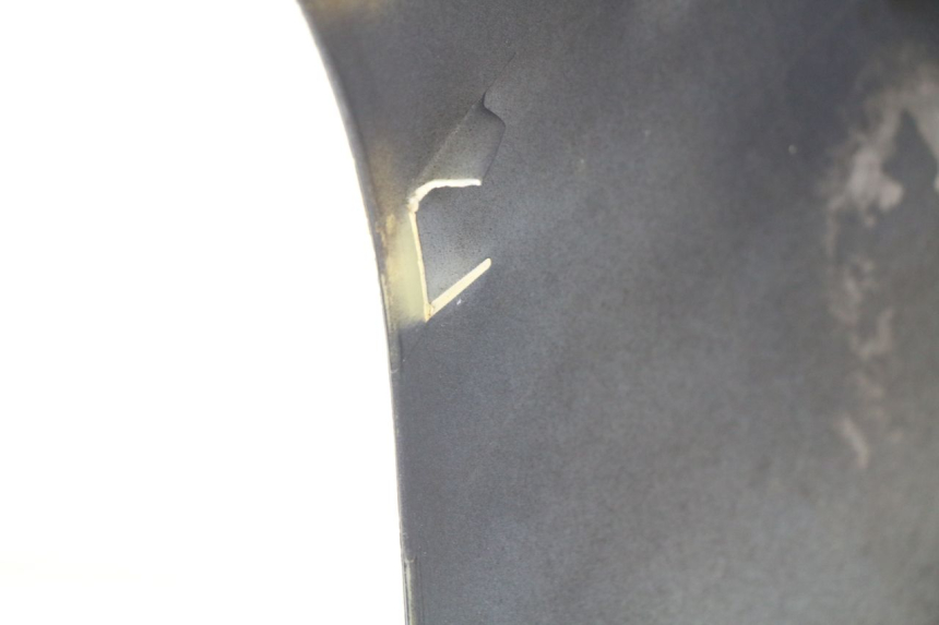 photo de FACCIATA ANTERIORE PIAGGIO X9 EVOLUTION 500 (2003 - 2005)