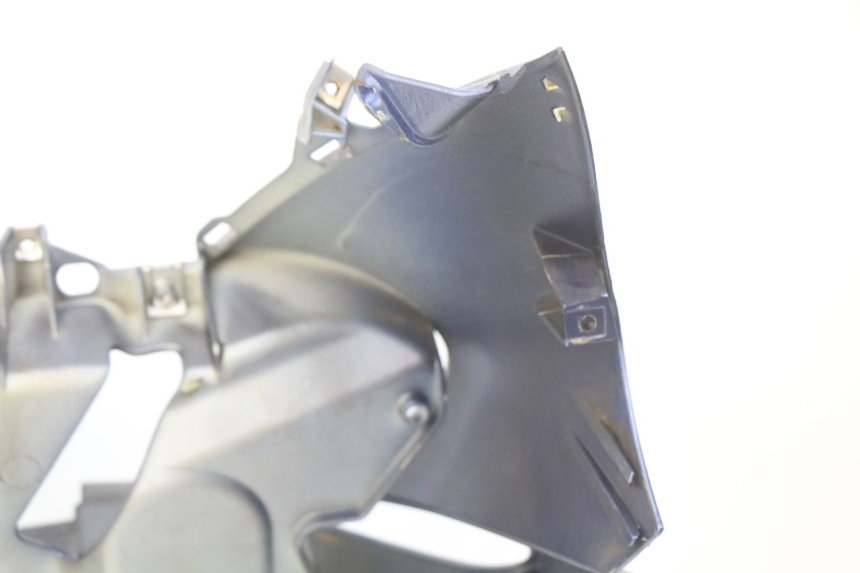 photo de FACCIATA ANTERIORE PIAGGIO X9 EVOLUTION 500 (2003 - 2005)