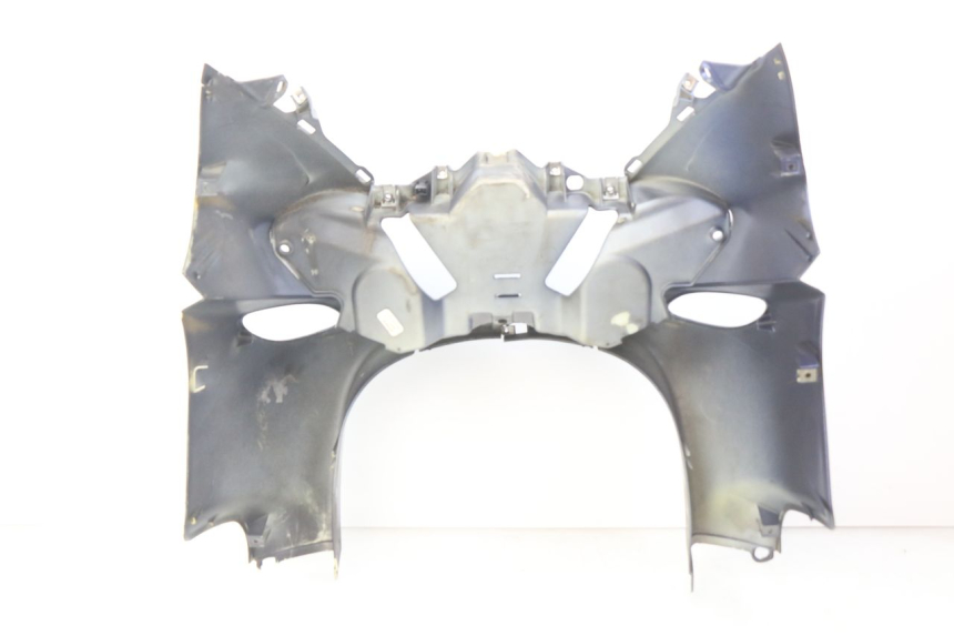 photo de FACCIATA ANTERIORE PIAGGIO X9 EVOLUTION 500 (2003 - 2005)