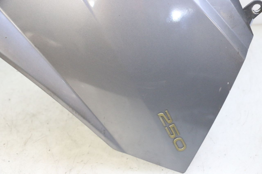 photo de SCUDO CARENA ANTERIORE PEUGEOT SATELIS 250 (2006 - 2012)