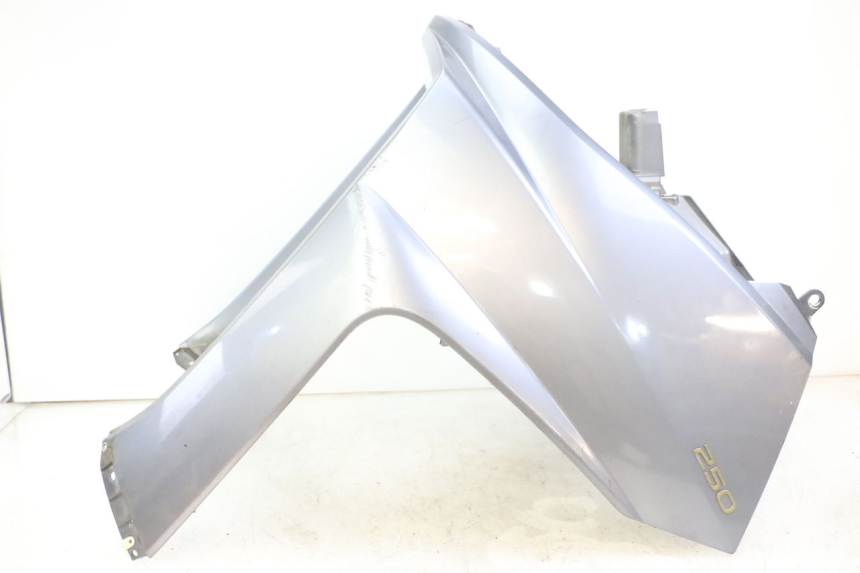 photo de SCUDO CARENA ANTERIORE PEUGEOT SATELIS 250 (2006 - 2012)