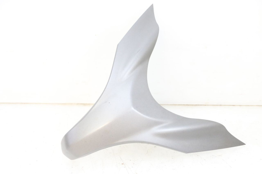 photo de FACCIA ANTERIORE SUPERIORE SUZUKI BURGMAN 650 (2013 - 2020)