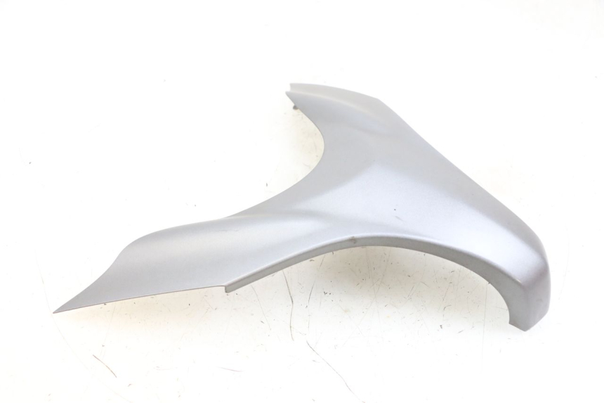 photo de FACCIA ANTERIORE SUPERIORE SUZUKI BURGMAN 650 (2013 - 2020)