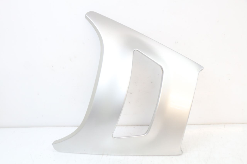 photo de FACCIATA ANTERIORE SUPERIORE BMW C1 125 (2000 - 2003)
