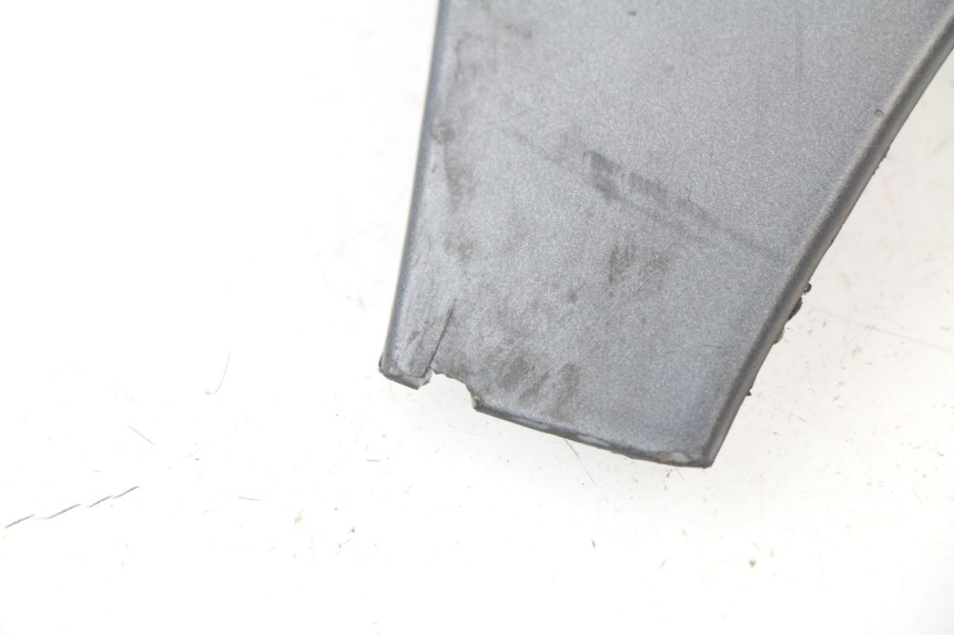 photo de FACCIATA ANTERIORE SUPERIORE PIAGGIO MP3 500 (2011 - 2015)