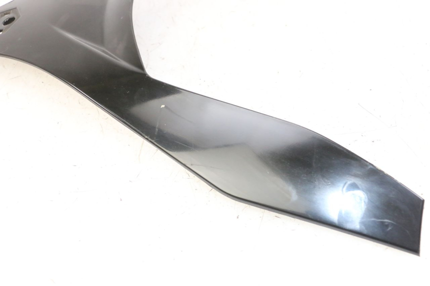 photo de FACCIATA ANTERIORE SUPERIORE PIAGGIO MP3 500 (2011 - 2015)