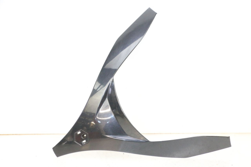 photo de FACCIATA ANTERIORE SUPERIORE PIAGGIO MP3 125 (2006 - 2014)