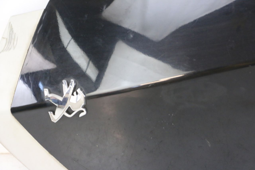 photo de FACCIATA ANTERIORE SUPERIORE PEUGEOT VIVACITY 125 (2010 - 2017)
