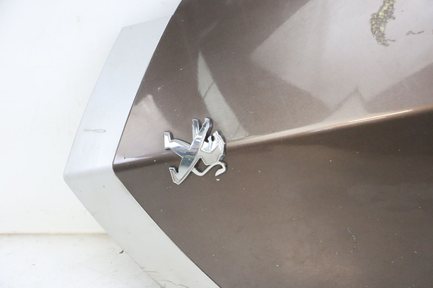 photo de FACCIATA ANTERIORE SUPERIORE PEUGEOT VIVACITY 125 (2010 - 2017)