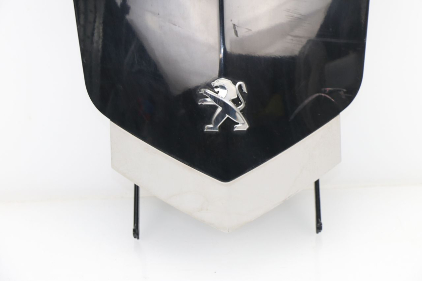 photo de PARTE ANTERIORE SUPERIORE PEUGEOT VIVACITY NEW 2T 50 (2008 - 2017)