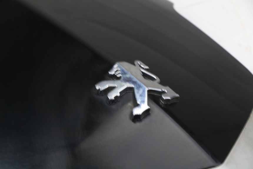 photo de FACCIATA ANTERIORE SUPERIORE PEUGEOT VIVACITY NEW 4T 50 (2008 - 2017)