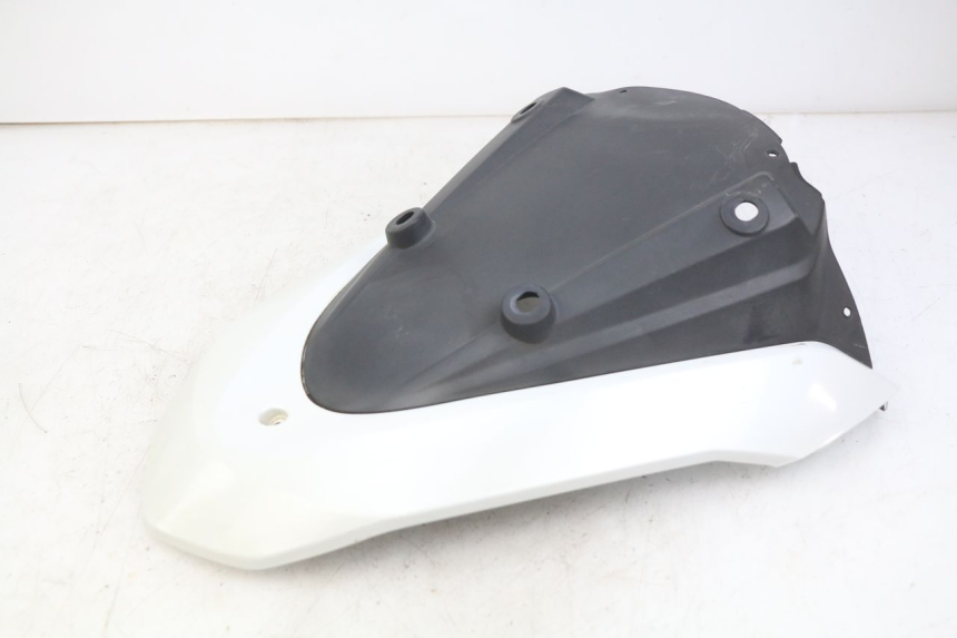 photo de FACCIATA ANTERIORE SUPERIORE DAELIM S3 125 (2010 - 2017)