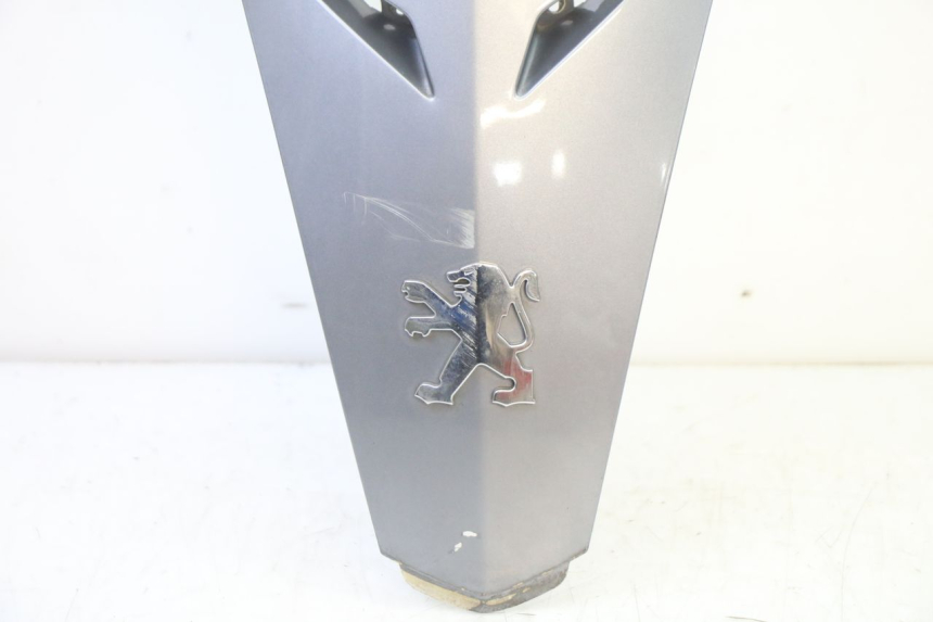 photo de CARENA ANTERIORE SUPERIORE PEUGEOT SATELIS 250 (2006 - 2012)