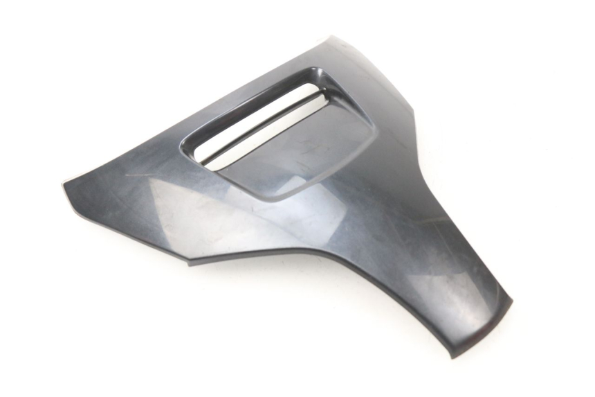 photo de FACCIATA ANTERIORE SUPERIORE SUZUKI BURGMAN 650 (2002 - 2004)
