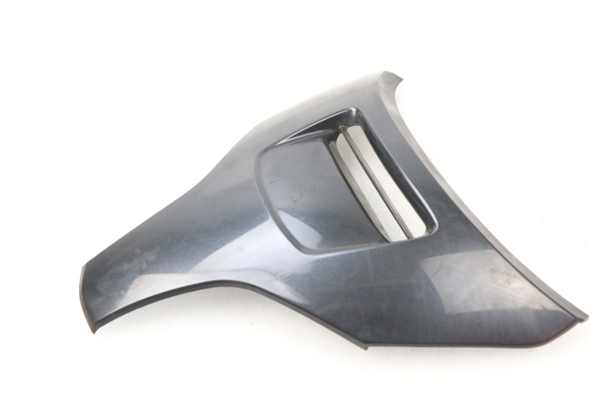 photo de FACCIATA ANTERIORE SUPERIORE SUZUKI BURGMAN 650 (2002 - 2004)