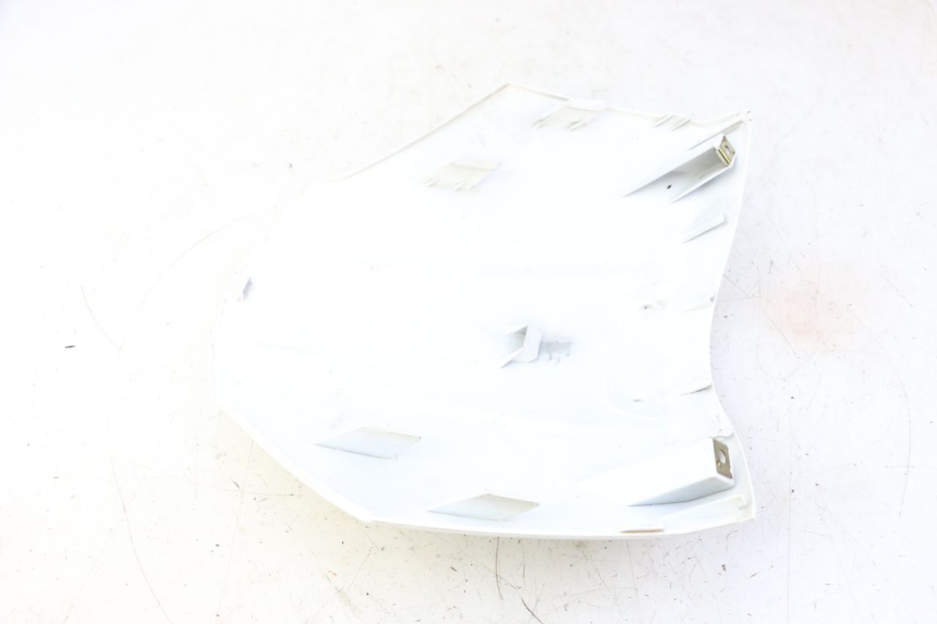 photo de CARENA ANTERIORE SUPERIORE PEUGEOT TWEET PRO CARGO 50 (2018 - 2020)