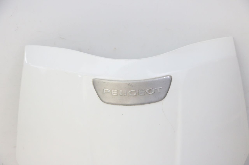 photo de CARENA ANTERIORE SUPERIORE PEUGEOT TWEET PRO CARGO 50 (2018 - 2020)