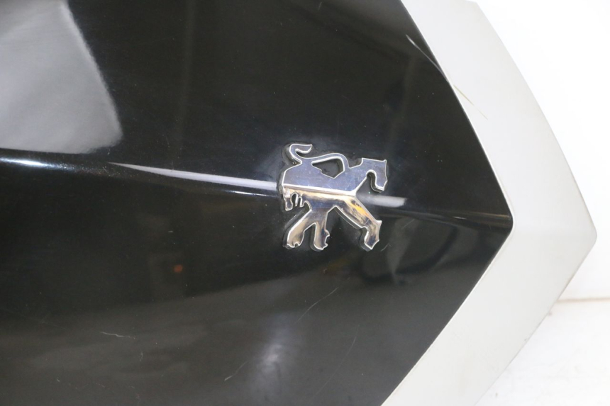 photo de PARTE ANTERIORE SUPERIORE PEUGEOT VIVACITY NEW 2T 50 (2008 - 2017)
