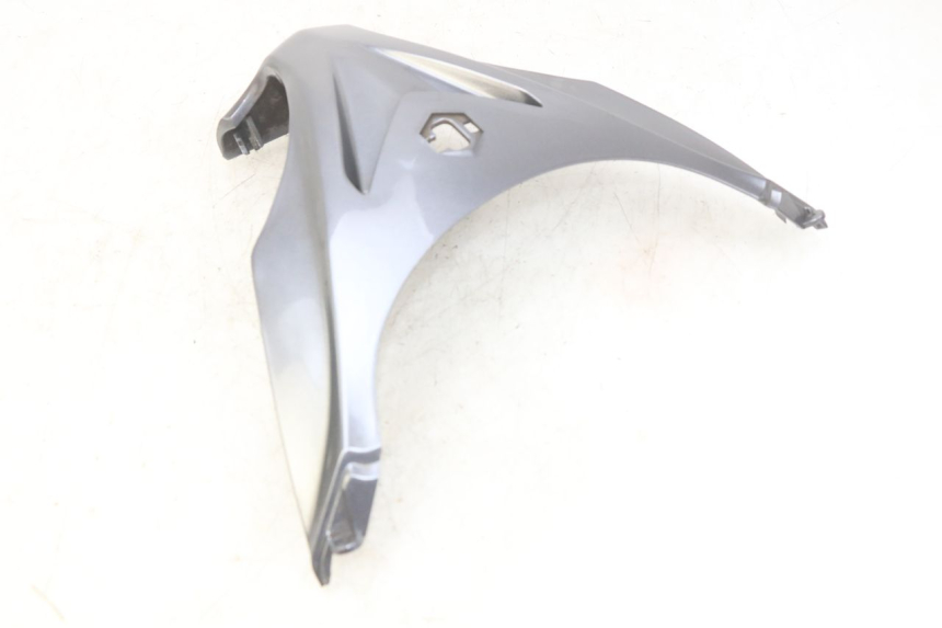 photo de FACCIATA ANTERIORE SUPERIORE PIAGGIO X9 EVOLUTION 250 (2003 - 2007)