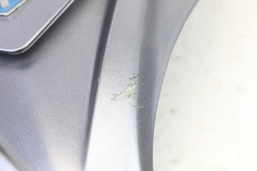 photo de FACCIATA ANTERIORE SUPERIORE PIAGGIO X9 EVOLUTION 125 (2003 - 2007)