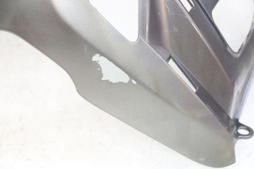 photo de SCUDO CARENA ANTERIORE PEUGEOT TWEET 4T 50 (2014 - 2019)