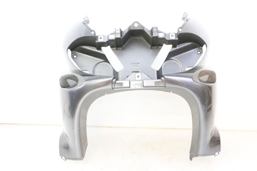 photo de FACCIATA ANTERIORE PIAGGIO X9 EVOLUTION 125 (2003 - 2007)