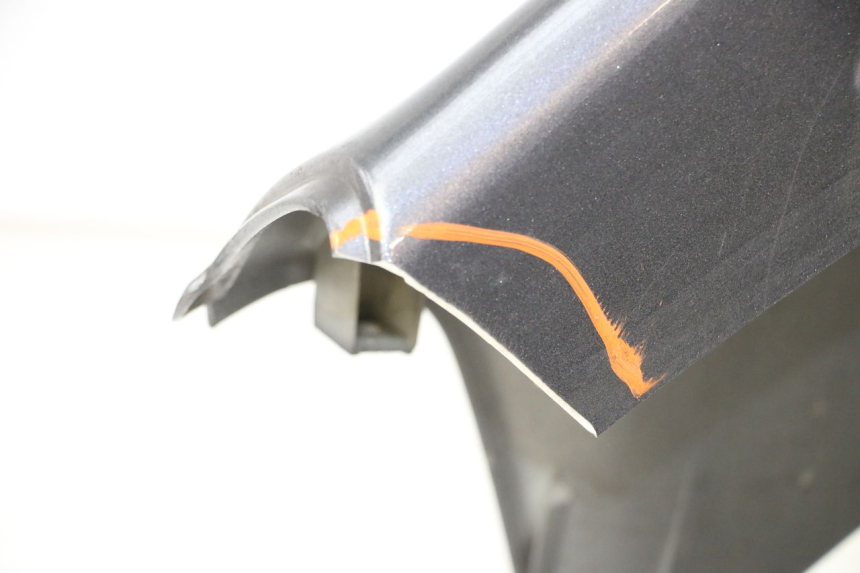 photo de FACCIATA ANTERIORE PIAGGIO X9 EVOLUTION 125 (2003 - 2007)