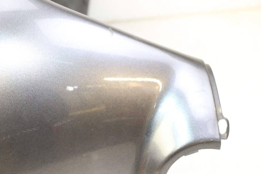 photo de FACCIATA ANTERIORE PIAGGIO X9 EVOLUTION 125 (2003 - 2007)