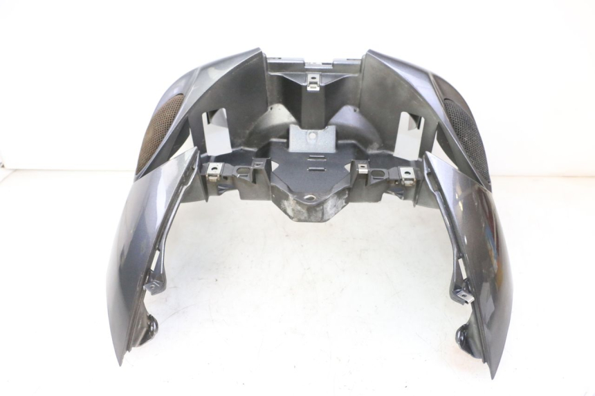 photo de FACCIATA ANTERIORE PIAGGIO X9 EVOLUTION 125 (2003 - 2007)