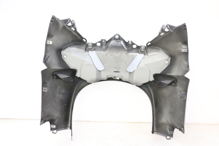 photo de FACCIATA ANTERIORE PIAGGIO X9 EVOLUTION 125 (2003 - 2007)