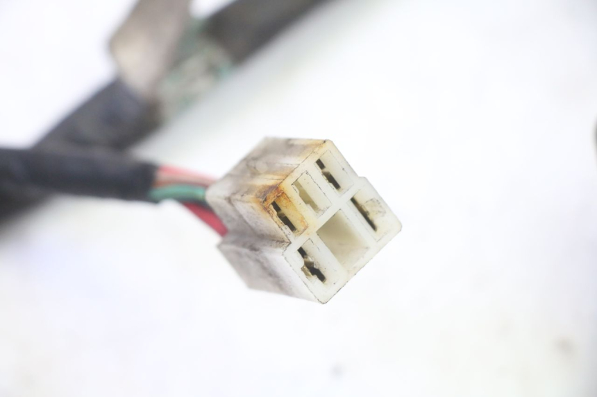 photo de FAISCEAU KYMCO AGILITY 4T 50 (2005 - 2018)