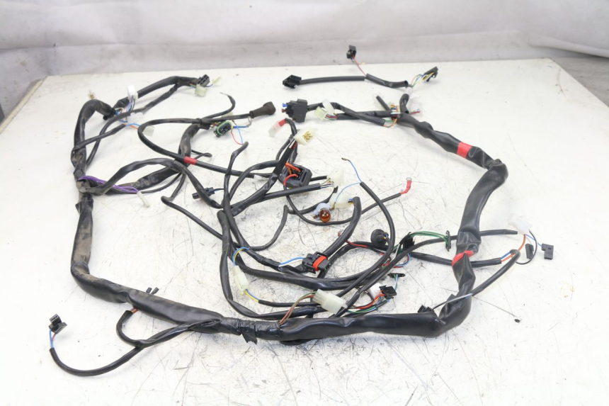 photo de Cablaggio APRILIA ATLANTIC S 125 (2010 - 2013)