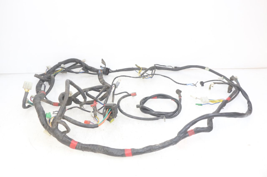 photo de FAISCEAU APRILIA SCARABEO LIGHT 125 (2007 - 2011)