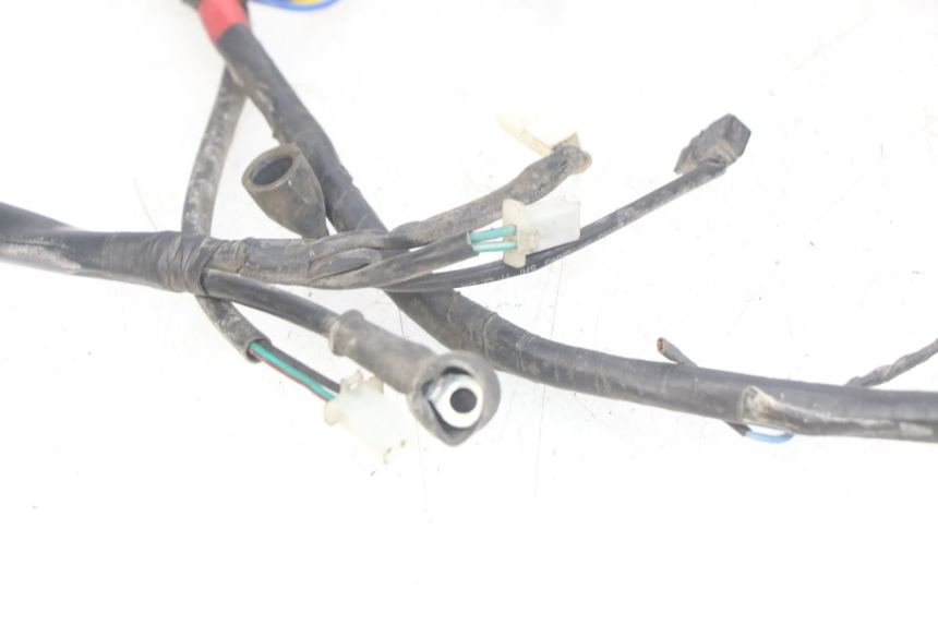 photo de FAISCEAU APRILIA SCARABEO LIGHT 125 (2007 - 2011)