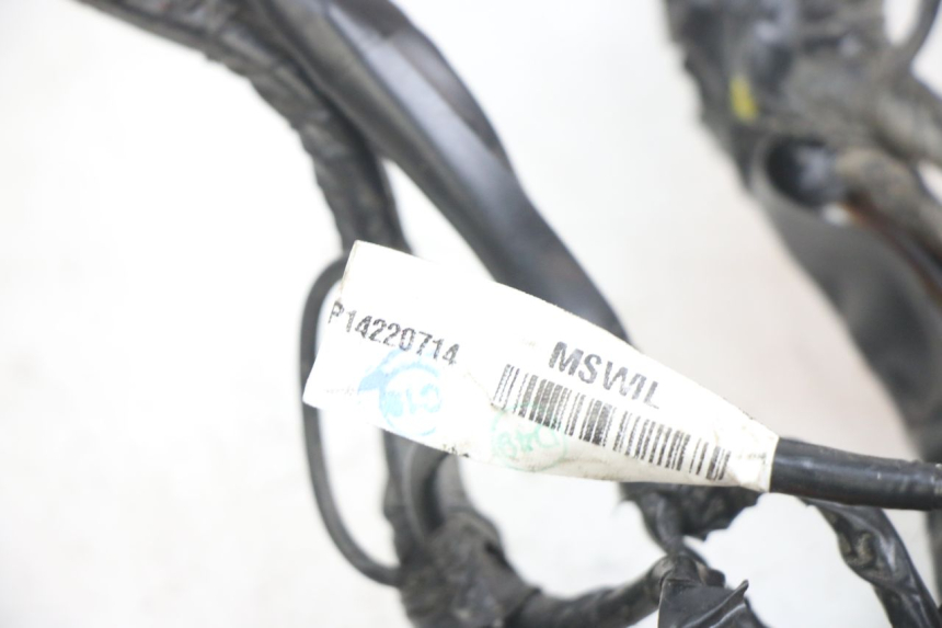 photo de FAISCEAU APRILIA SXR 50 (2021 - 2023)
