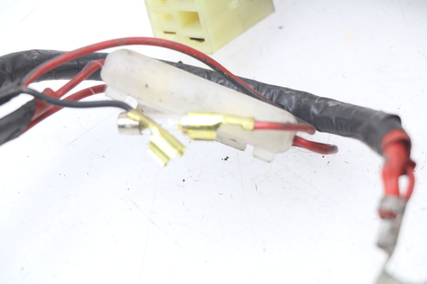 photo de Cablaggio HONDA BALI EX 100 (1996 - 2000)