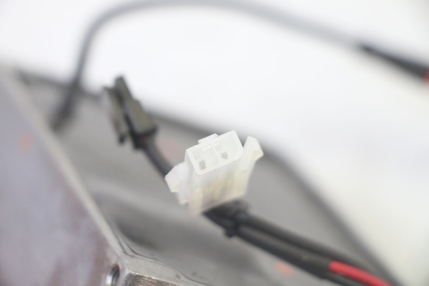 photo de FASCIO BATTERIA SEGWAY NINEBOT F65I 1