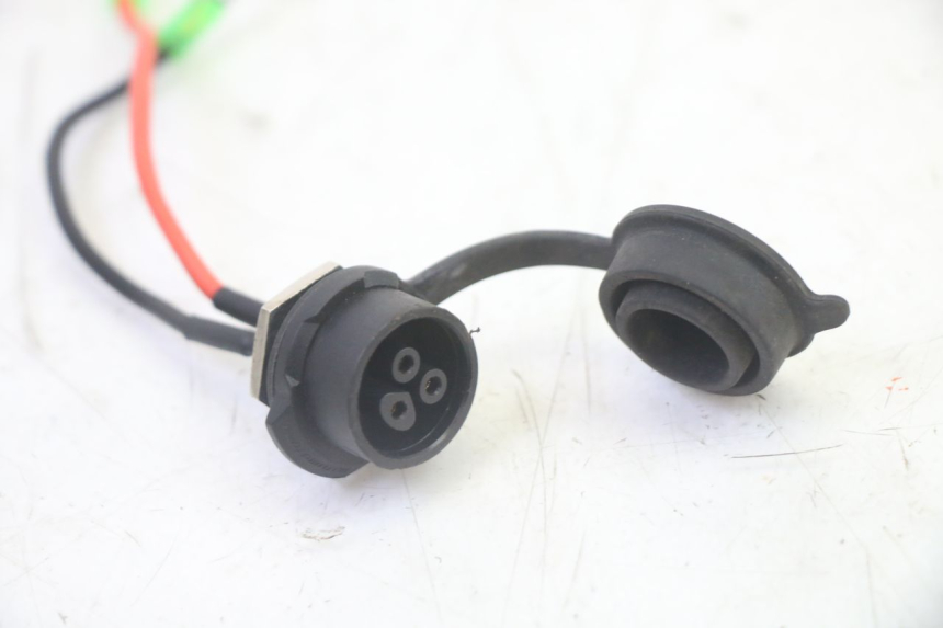 photo de FASCIO BATTERIA DUALTRON MINI SPECIAL 1