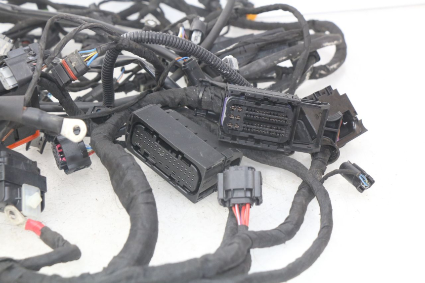 photo de Cablaggio BMW F GS K81 850 (2018 - 2023)