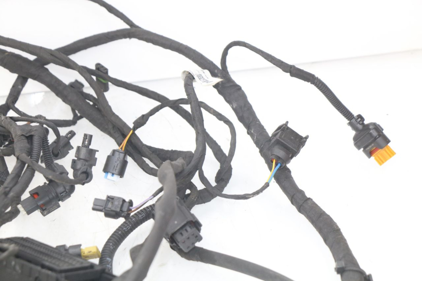 photo de Cablaggio BMW F GS K81 850 (2018 - 2023)