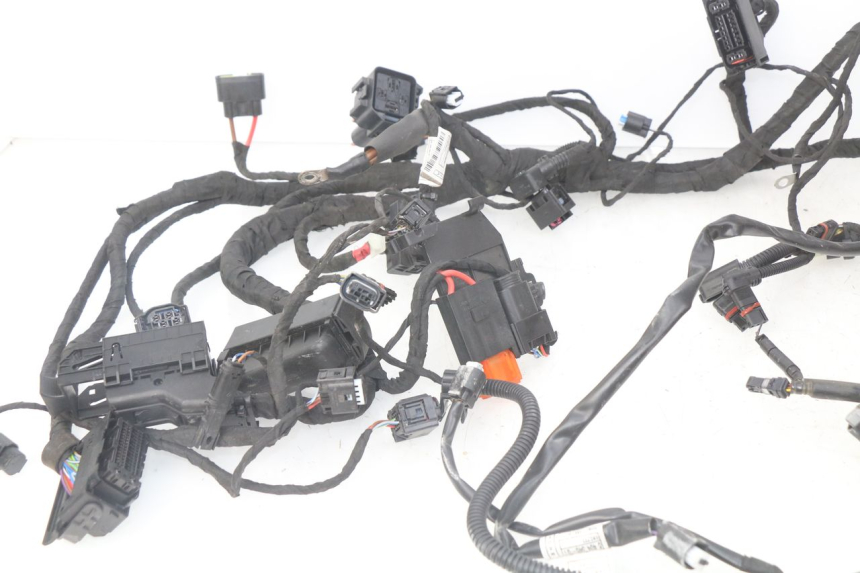photo de Cablaggio BMW F GS K81 850 (2018 - 2023)