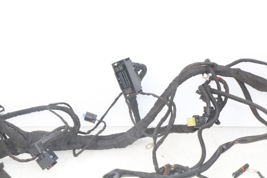 photo de Cablaggio BMW F GS K81 850 (2018 - 2023)