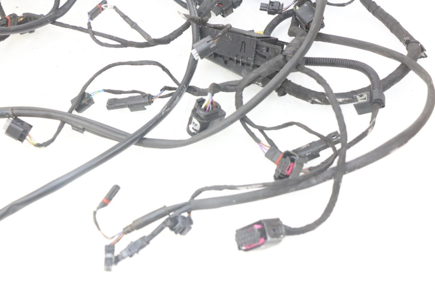 photo de Cablaggio BMW F GS K81 850 (2018 - 2023)