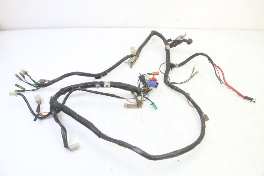 photo de IMPIANTO ELETTRICO YAMAHA BW'S 100 (1999 - 2002)