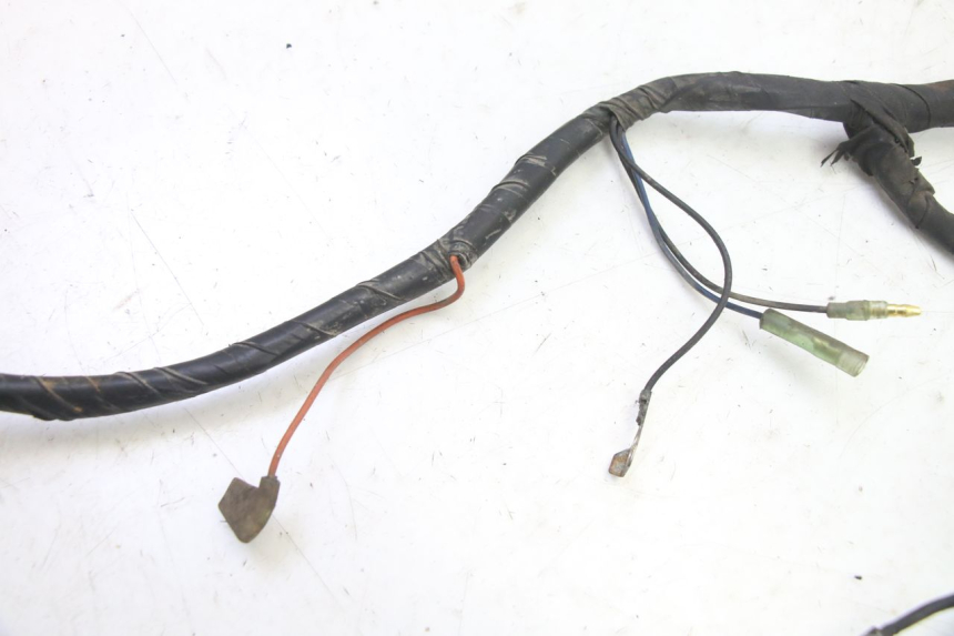 photo de IMPIANTO ELETTRICO YAMAHA BW'S 100 (1999 - 2002)