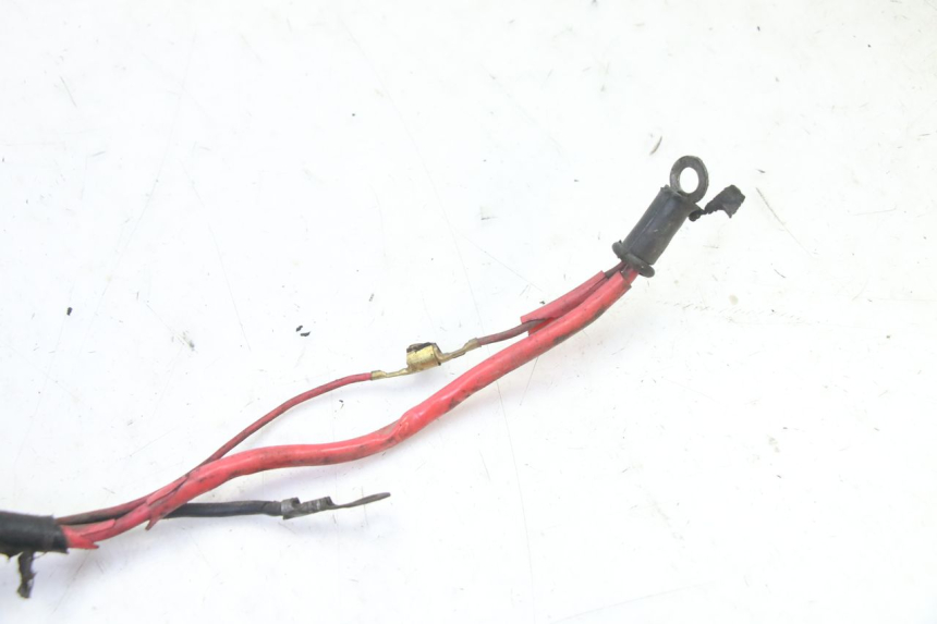 photo de IMPIANTO ELETTRICO YAMAHA BW'S 100 (1999 - 2002)