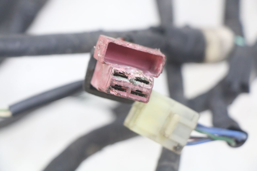 photo de FAISCEAU HONDA CBR F SC25 1000 (1989 - 1992)